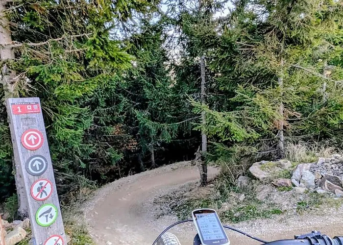 Bike & Moss